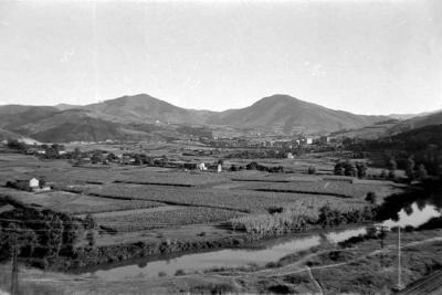 Vega de Artunduaga