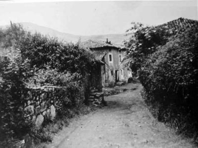 Camino del Jaro
