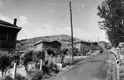 Calle Basozelai