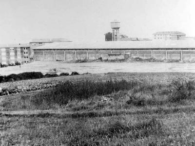 Campo de F. Basozelai