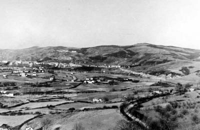 Basauri desde Zarátamo