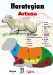 Artxoa