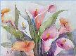 Floristería